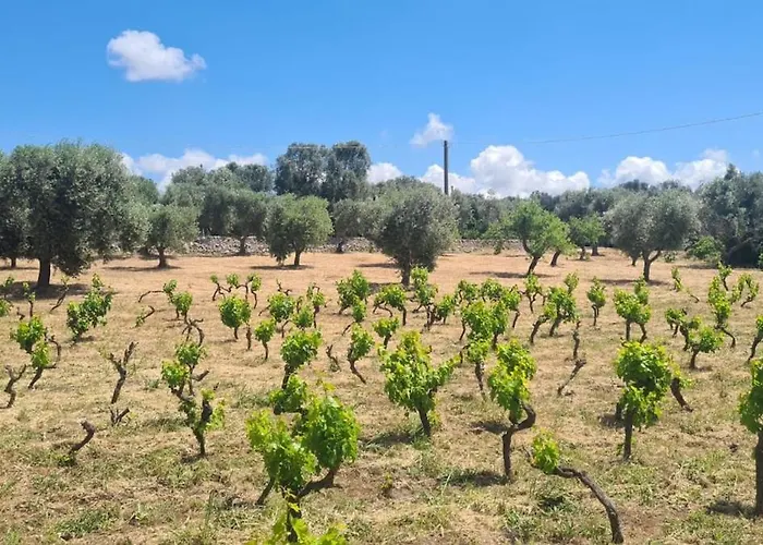 ヴィラ Casa Sordella