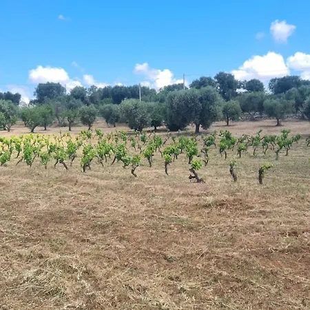 Casa Sordella سان ميكيلي سالنتينو