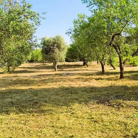 Casa Sordella فيلة *