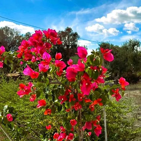 Casa Sordella سان ميكيلي سالنتينو